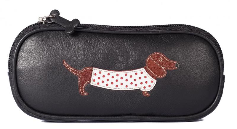 dog glasses case